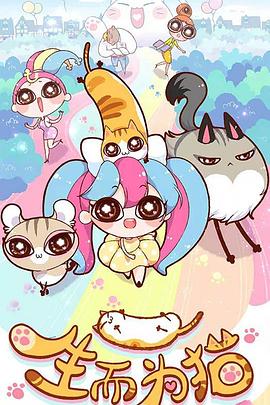 搜索优化费用十年乐云seo